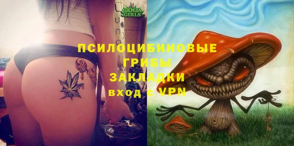 mdma Новозыбков