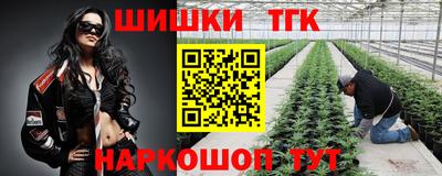 ешки Гусев