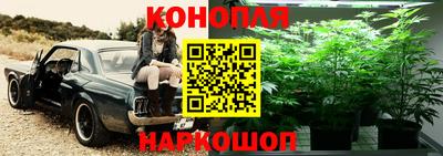 ешки Гусь-Хрустальный