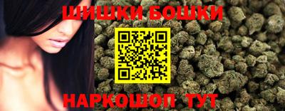 гашик Берёзовский