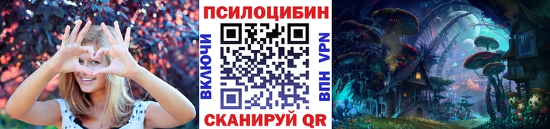 blacksprut   Заводоуковск  Псилоцибиновые грибы Psilocybe 
