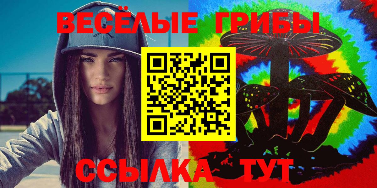 Псилоцибиновые грибы Psilocybine cubensis  Псилоцибиновые грибы мухоморы  Заводоуковск 